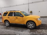 Ford Escape Xlt 1FMCU0D74AKC02012 снимка