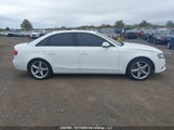 Audi A4 2.0T 30 Years Of Quattro Edition/2.0T Premium WAUFFCFL5BN038919 снимка