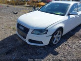 Audi A4 2.0T 30 Years Of Quattro Edition/2.0T Premium WAUFFCFL5BN038919 photo