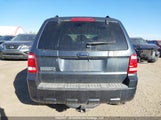 Ford Escape Xlt 1FMCU03128KA73629 снимка