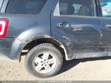 Ford Escape Xlt 1FMCU03128KA73629 снимка