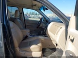 Ford Escape Xlt 1FMCU03128KA73629 снимка