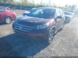 Honda Cr-V Lx 2HKRM4H39DH114217 снимка