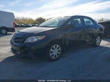Toyota Corolla S/Le 2T1BU4EE2BC694711 снимка