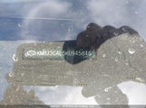 Hyundai Tucson KM8J3CAL5KU945846 снимка