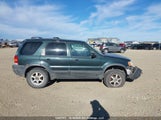 Ford Escape Xlt 1FMYU931X3KD89394 снимка