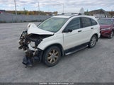 Honda Cr-V Ex 5J6RE48548L810395 снимка