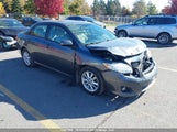 Toyota Corolla 2T1BU4EE9AC293235 снимка