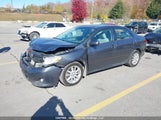 Toyota Corolla 2T1BU4EE9AC293235 снимка