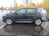 Hyundai Tucson KM8J2CA40KU870775 снимка