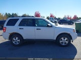 Ford Escape Xlt 1FMCU9D71AKB87165 fotografie