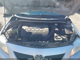 Toyota Corolla S/Le/Xle 2T1BU4EE5AC377651 снимка