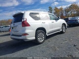 LEXUS GX 460 JTJGM7BX1M5****** снимка