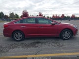 Hyundai Sonata Gls 5NPE24AF0GH294491 снимка