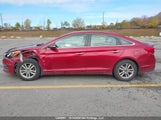 Hyundai Sonata Gls 5NPE24AF0GH294491 снимка
