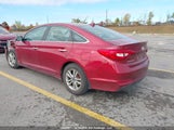 Hyundai Sonata Gls 5NPE24AF0GH294491 снимка
