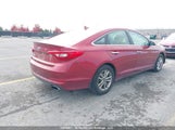 Hyundai Sonata Gls 5NPE24AF0GH294491 снимка