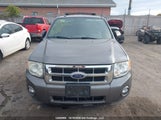 Ford Escape Xlt 1FMCU9DG4AKA99033 снимка