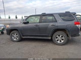 Toyota 4Runner JTEBU5JR6D5139853 снимка
