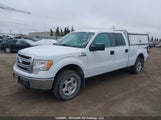 Ford F-150 Xlt 1FTFW1EF6DFA40713 снимка