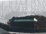 GMC Terrain Sle 3GKALTEG4RL222645 снимка