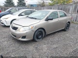 Toyota Corolla S/Le/Xle 2T1BU40E29C100443 снимка