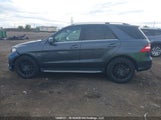 Mercedes-Benz Ml 350 Bluetec 4JGDA2EB7CA014878 снимка