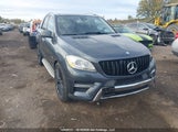 Mercedes-Benz Ml 350 Bluetec 4JGDA2EB7CA014878 снимка
