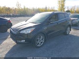 Ford Escape Titanium 1FMCU9J95EUA79826 снимка