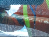 Honda Accord 1HGCM66537A800093 снимка