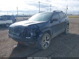 Jeep Cherokee Trailhawk 1C4PJMBX8JD591816 снимка