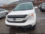 Honda Cr-V Exl 5J6RE48799L802893 fotografie