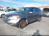Honda Cr-V Ex 5J6RE4H55AL817751 снимка