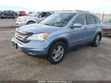 Honda Cr-V Exl 5J6RE4H76AL804315 снимка