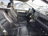 Honda Cr-V Exl 5J6RE4H76AL804315 снимка