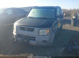 Honda Element Ex 5J6YH28583L801179 fotografie