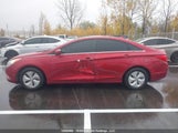 Hyundai Sonata Gls 5NPEB4AC0BH208398 снимка