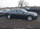 Toyota Camry Le V6 4T1BK46K09U584906 photo