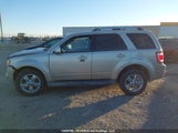 Ford Escape Limited 1FMCU9EG6AKC55989 снимка