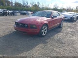 Ford Mustang 1ZVHT84N585181588 снимка