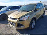 Ford Escape Se 1FMCU0G95EUD82222 снимка