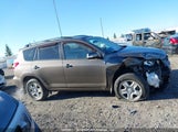 Toyota Rav4 2T3BK4DV1AW020545 снимка