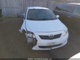 Toyota Corolla 2T1BU4EE8AC356647 fotografie