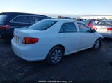Toyota Corolla 2T1BU4EE8AC356647 photo