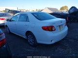 Toyota Corolla 2T1BU4EE8AC356647 fotografie