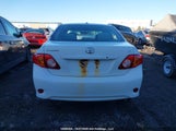 Toyota Corolla 2T1BU4EE8AC356647 снимка