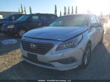 Hyundai Sonata Gl 5NPE24AF5HH499354 снимка