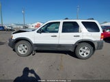 Ford Escape Xlt 1FMYU93136KC92879 снимка