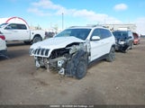 Jeep Cherokee Limited 1C4PJMDX3KD207214 снимка