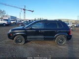 Hyundai Tucson Gls KM8JM72D09U072190 снимка